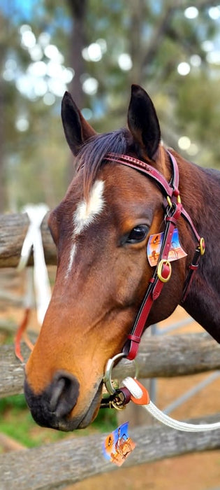 Leather Bridle with Raised Plait (Full)