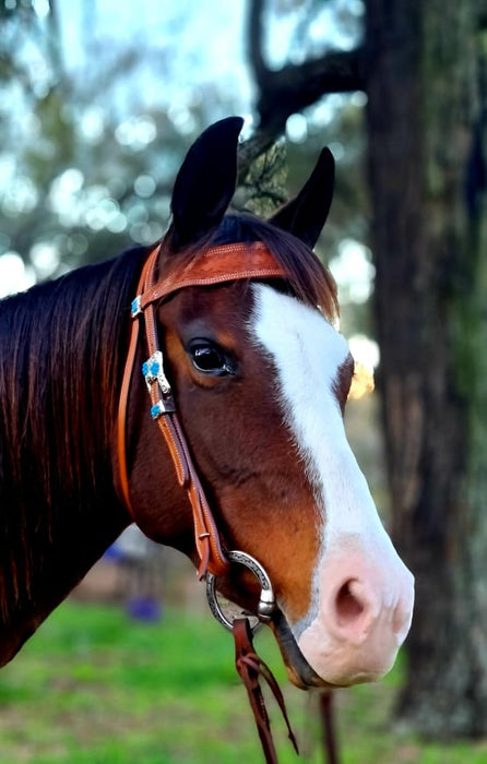 Western Bridle with Embossed Barbed Wire Browband