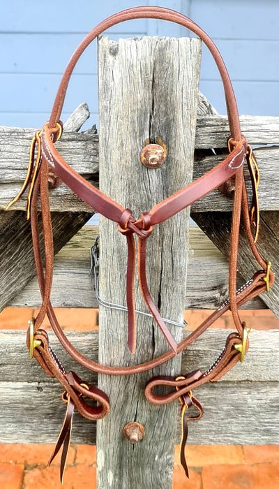 Futurity Browband Headstall