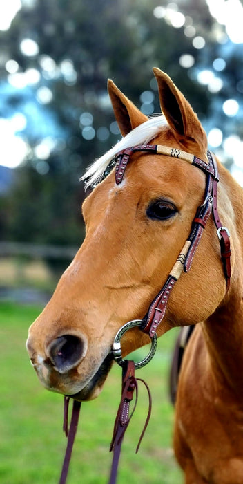 Cross Over Headstall with Knotting & Sun Spots